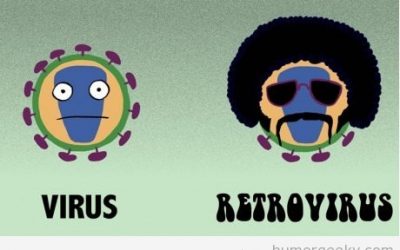 Diferencia entre un virus y un retrovirus