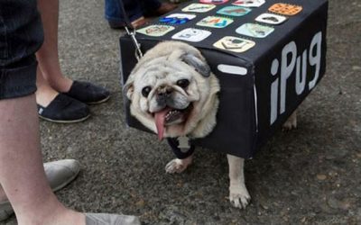 Ipug