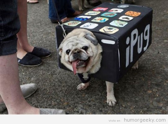 Perro disfrazado de iPhone