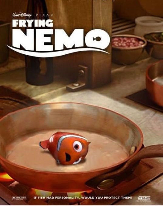 Friendo a Nemo