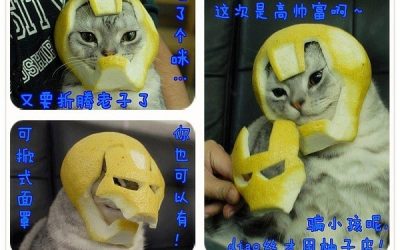 Ironcat