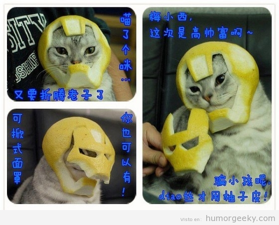 Gato ironman