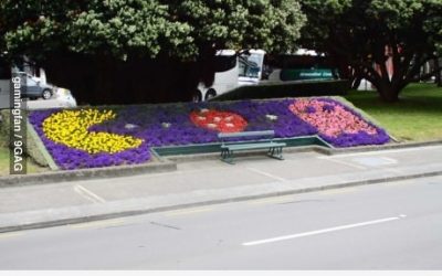 Jardinero friki
