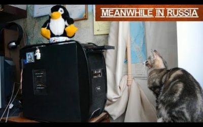 Gato Vs. unidad de DVD