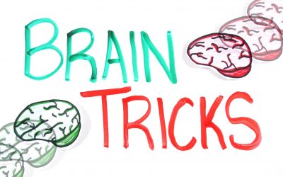 Cómo funciona el cerebro