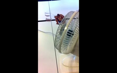 El arte de aprovechar cualquier cosa para hacer frikadas