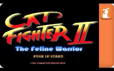 Cat Fighter: the feline warrior