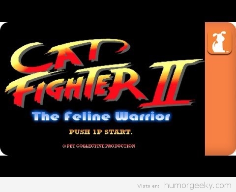 Cat Fighter: the feline warrior