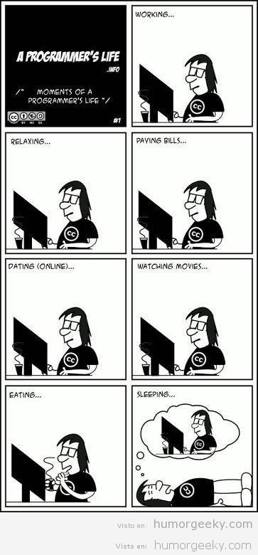 La vida de un programador