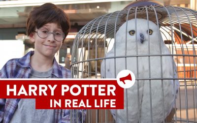 Harry Potter en la vida real