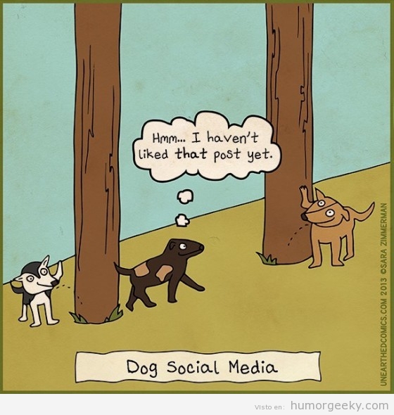 Redes sociales perros