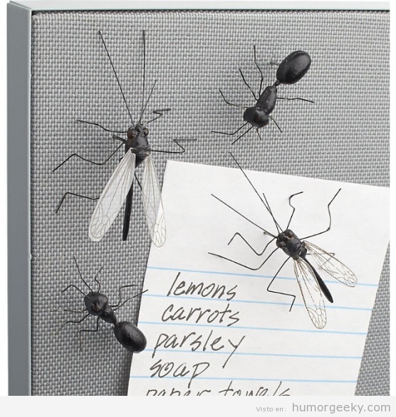 Chinchetas con forma de hormigas
