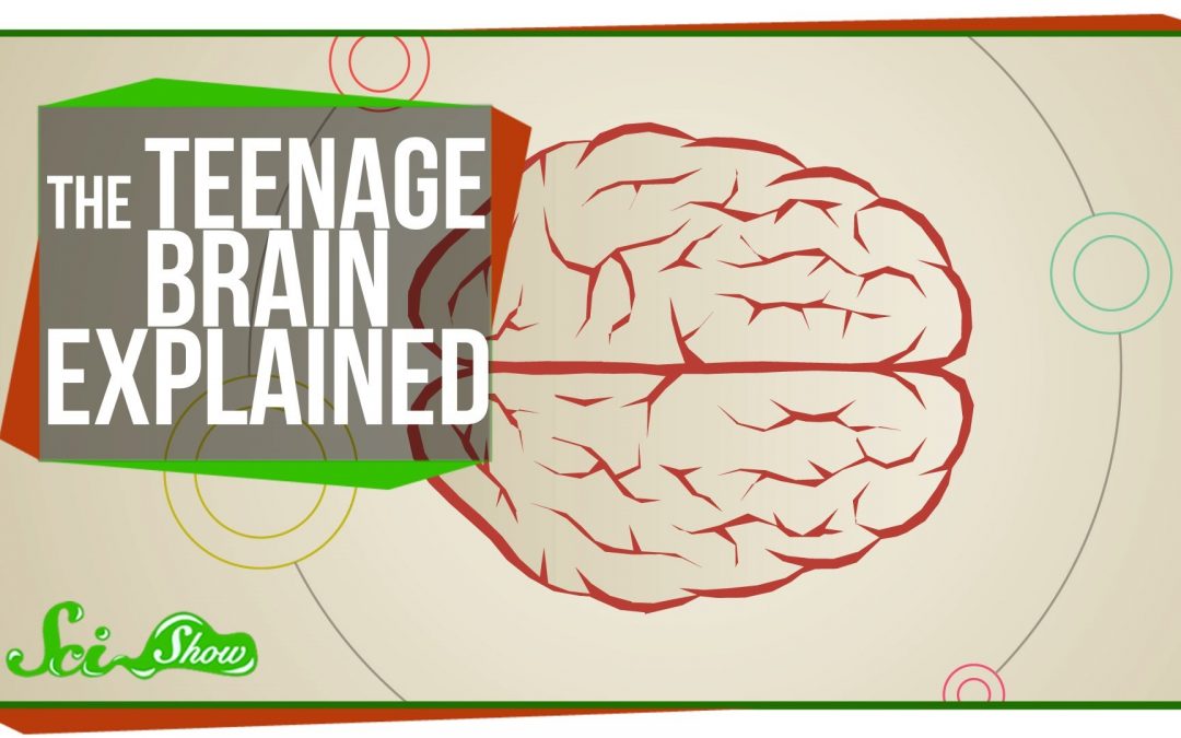 El cerebro de un adolescente, explicado