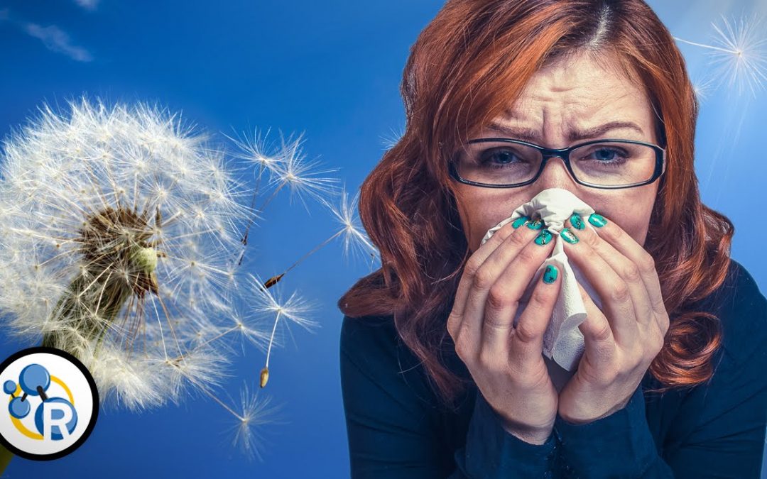 Las causas de las alergias