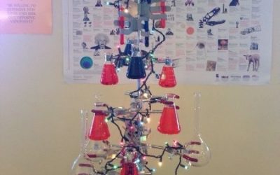 El árbol de Navidad de la clase de Química mola mil!