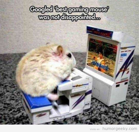 Best gaming mouse, foto graciosa hamster jugando videojuegos
