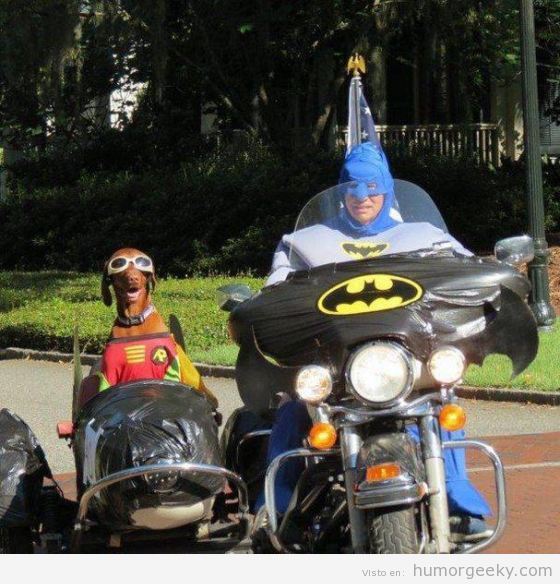Moto con sidecar Batman, Robin es un perro
