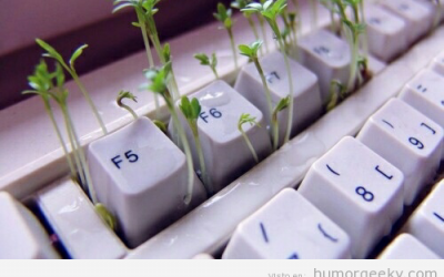 Había tanta porquería en mi teclado que han crecido plantas…
