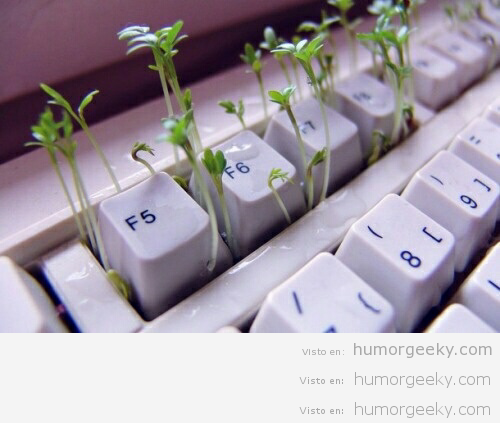 Había tanta porquería en mi teclado que han crecido plantas…