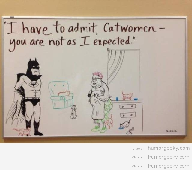 Quizás no te esperabas que Catwoman fuese así…